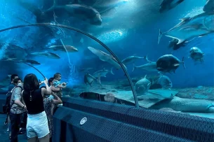 UNDERWATER WORLD